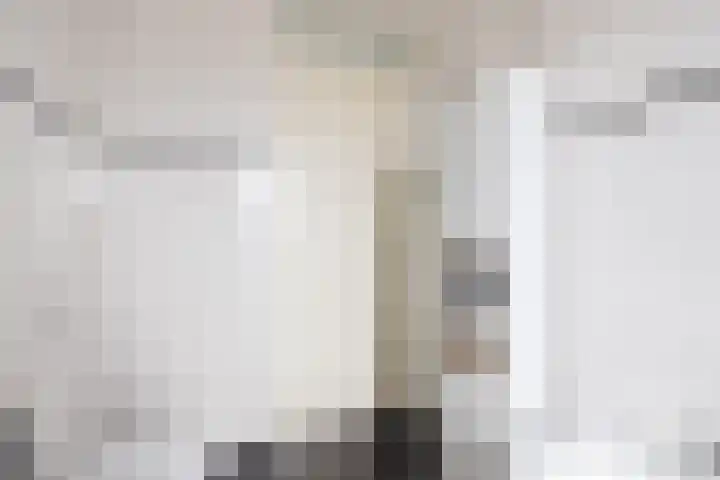 Molenmaker 31 Zevenhuizen thumbnail 22