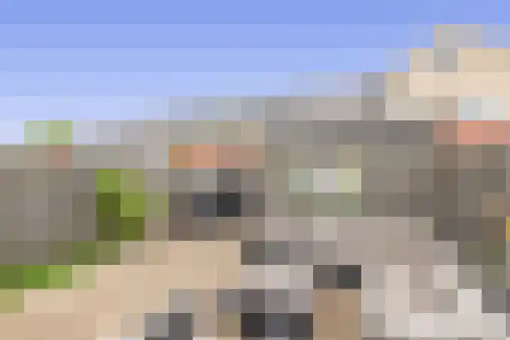 Molenmaker 31 Zevenhuizen thumbnail 27