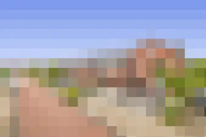 Molenmaker 31 Zevenhuizen thumbnail 31