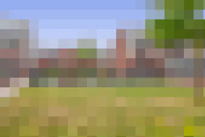 Molenmaker 31 Zevenhuizen thumbnail 32