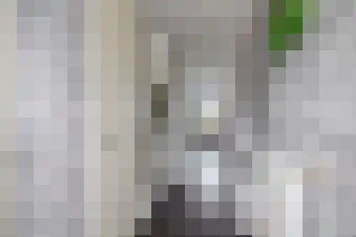 Molenmaker 31 Zevenhuizen thumbnail 6