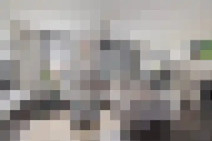 Molenmaker 31 Zevenhuizen thumbnail 7