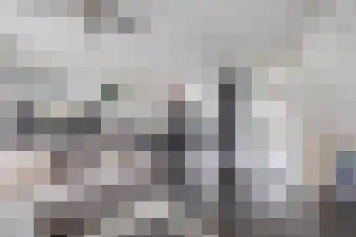 Molenmaker 31 Zevenhuizen thumbnail 8