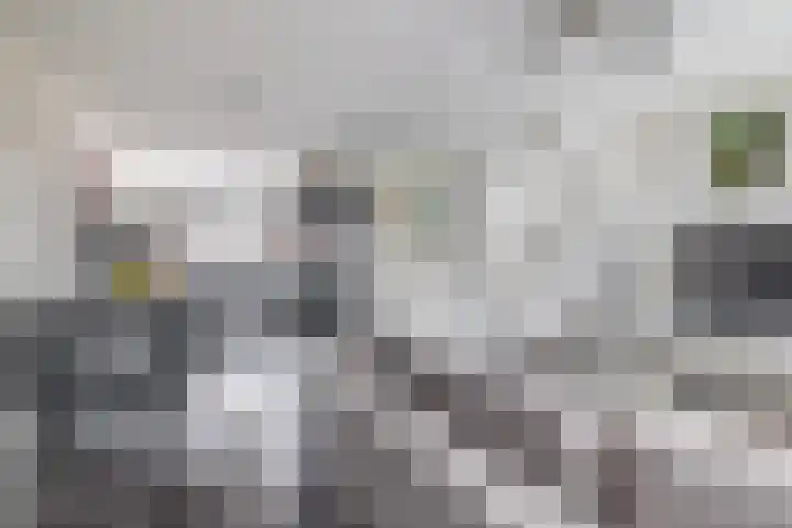 Molenmaker 31 Zevenhuizen thumbnail 9