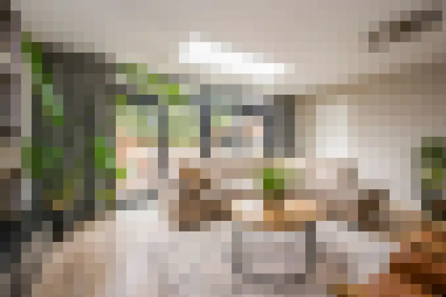 Molenmakerslaan 29 Voorthuizen thumbnail 10