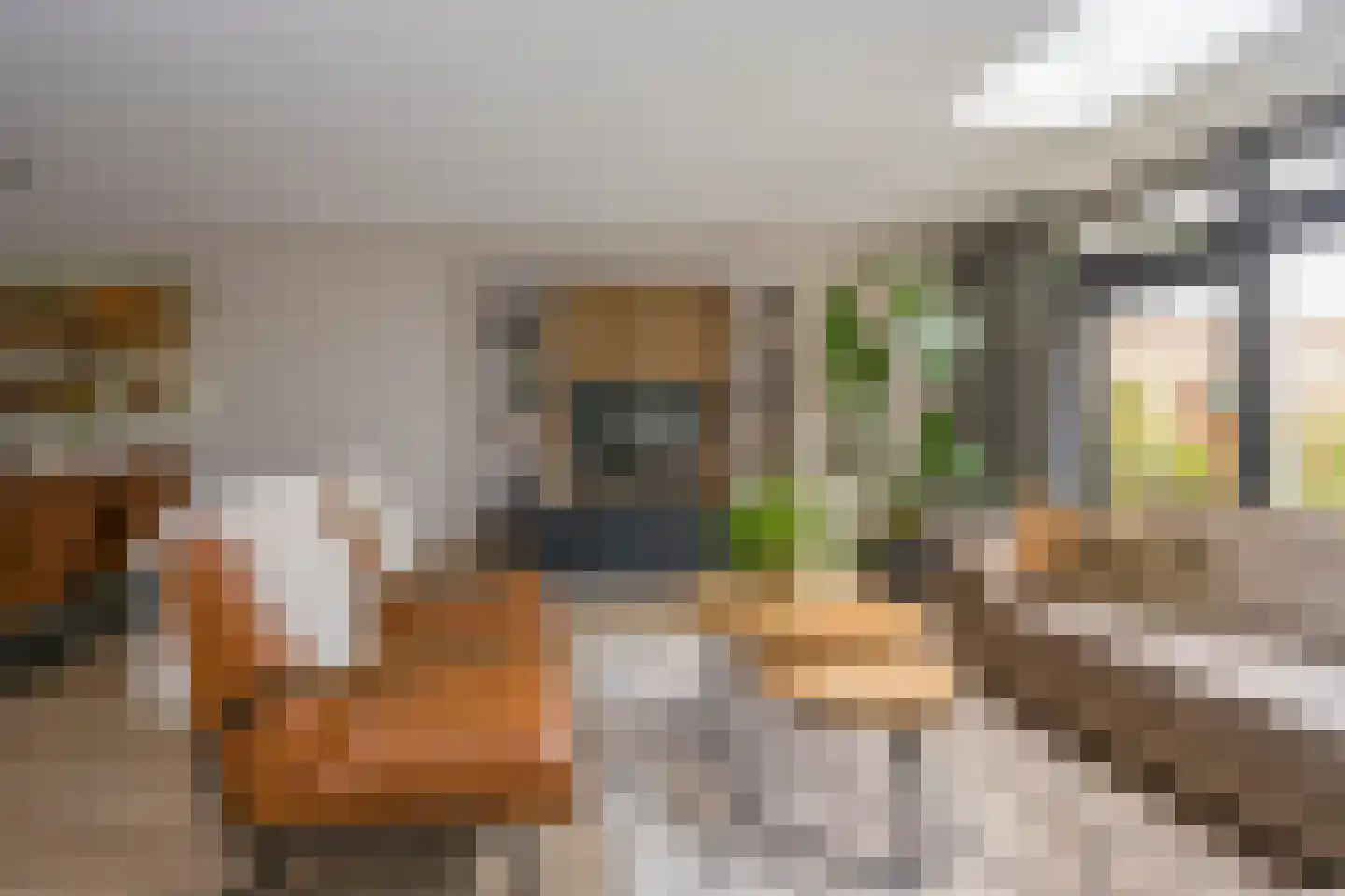 Molenmakerslaan 29 Voorthuizen thumbnail 11