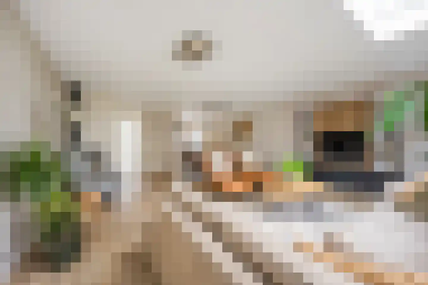 Molenmakerslaan 29 Voorthuizen thumbnail 12