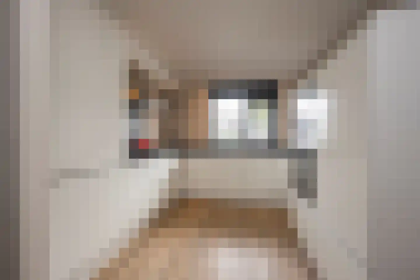 Molenmakerslaan 29 Voorthuizen thumbnail 14