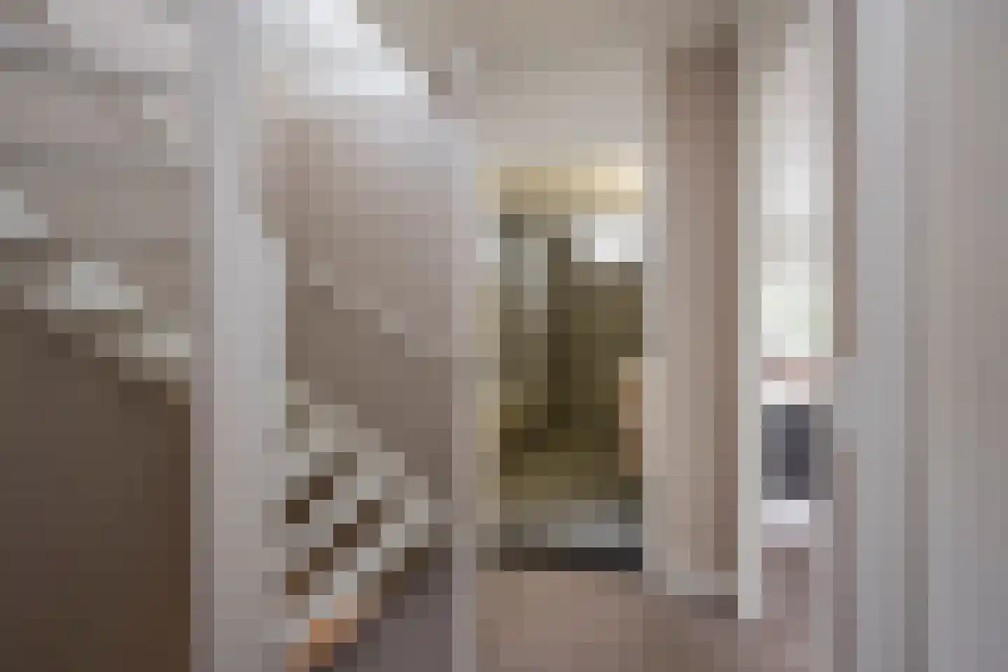 Molenmakerslaan 29 Voorthuizen thumbnail 25