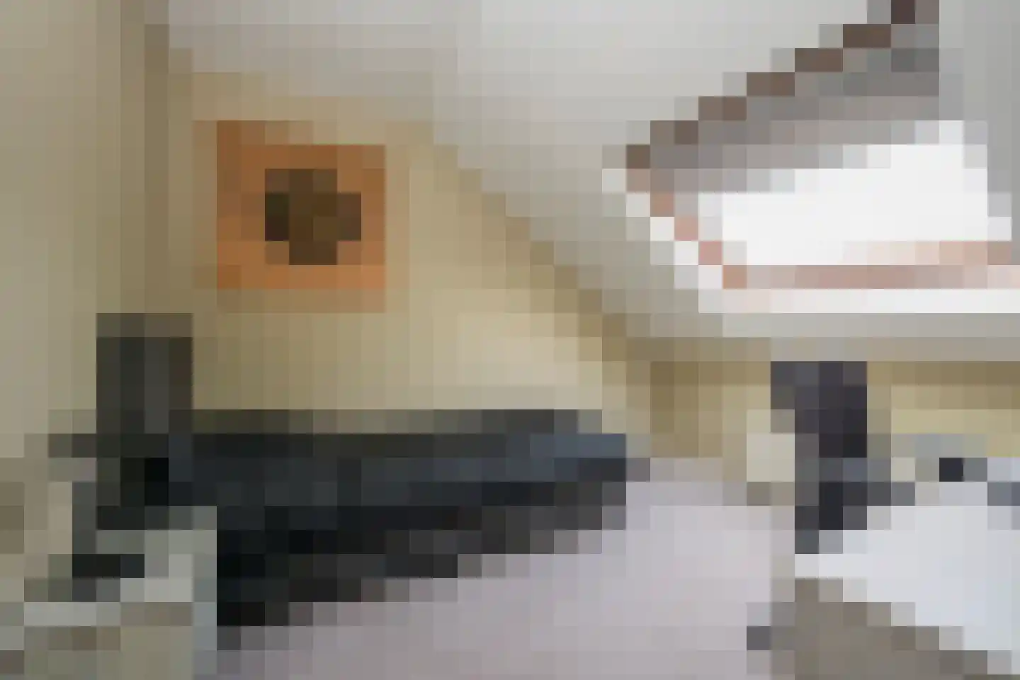 Molenmakerslaan 29 Voorthuizen thumbnail 28