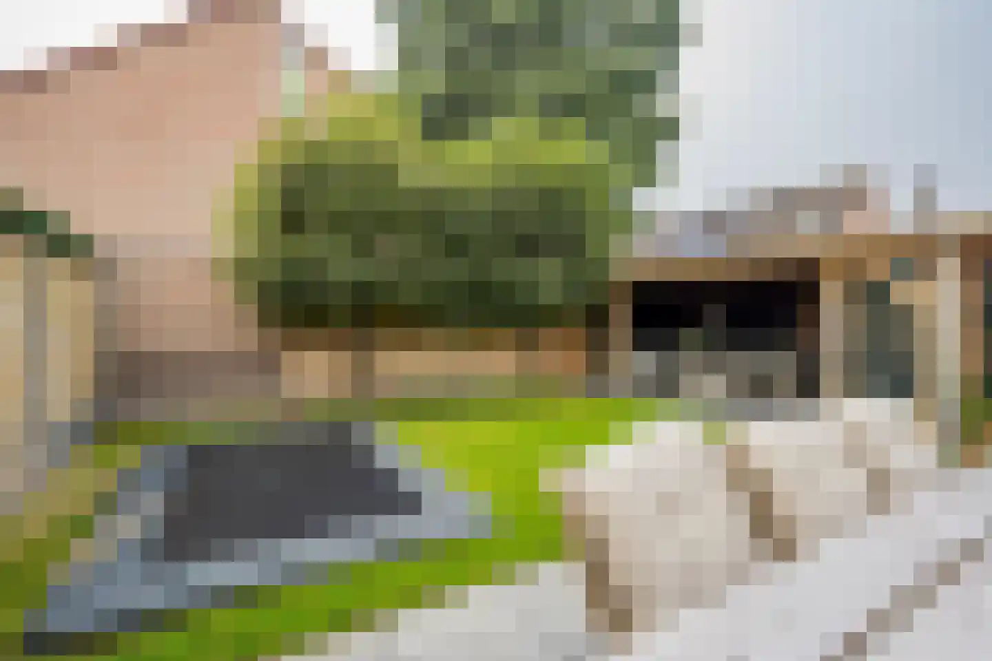 Molenmakerslaan 29 Voorthuizen thumbnail 30