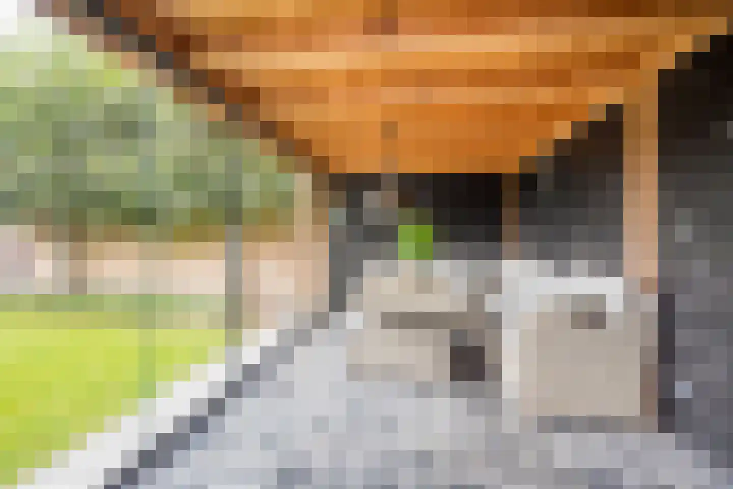 Molenmakerslaan 29 Voorthuizen thumbnail 32