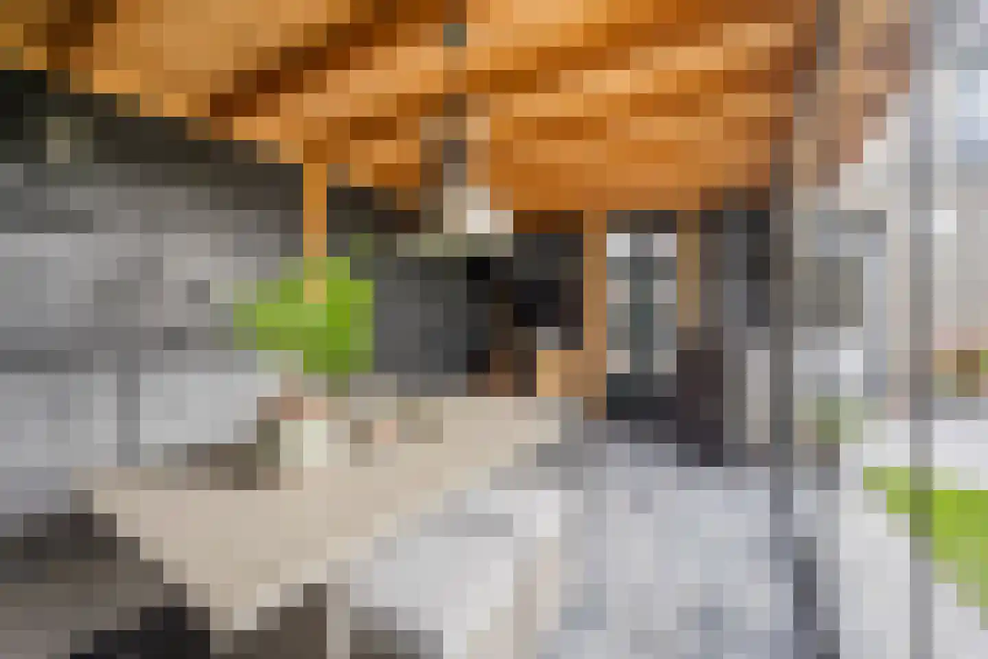 Molenmakerslaan 29 Voorthuizen thumbnail 33
