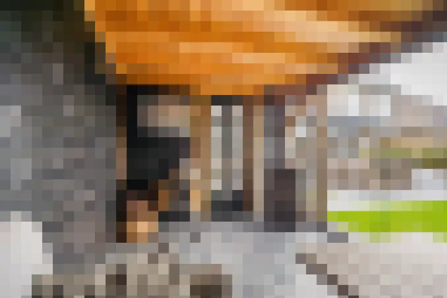 Molenmakerslaan 29 Voorthuizen thumbnail 34