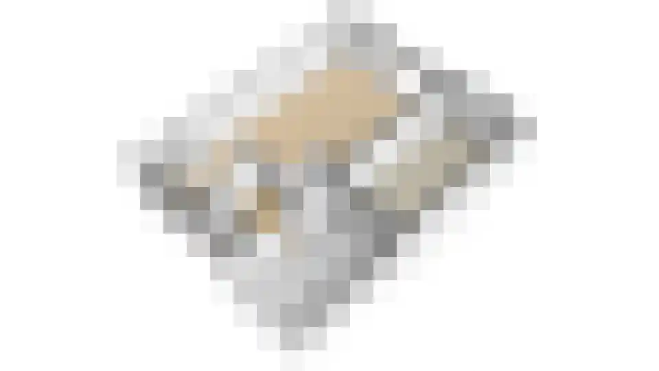 Molenmakerslaan 29 Voorthuizen thumbnail 44