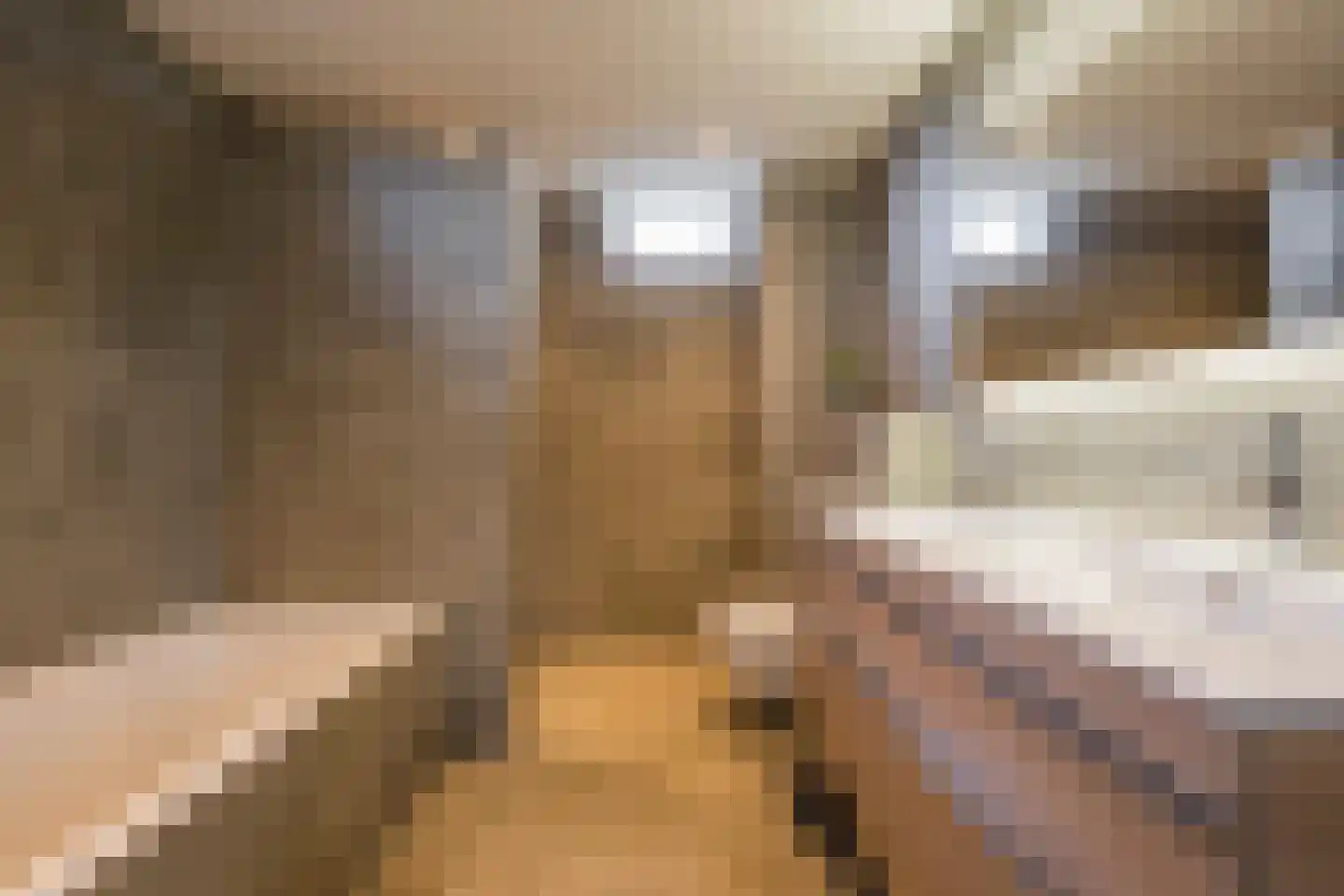 Molenmakerslaan 29 Voorthuizen thumbnail 6