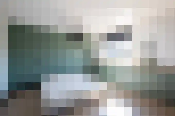 Molenmakerslaan 61 Voorthuizen thumbnail 18