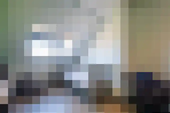 Molenmakerslaan 61 Voorthuizen thumbnail 26