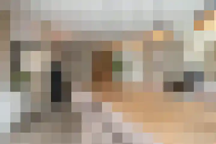 Molenmakerslaan 70 Voorthuizen thumbnail 15