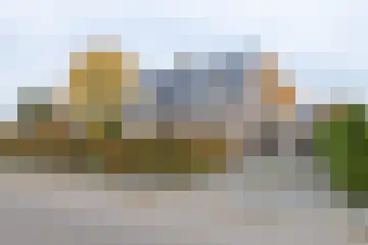 Molenmakerslaan 70 Voorthuizen foto 2