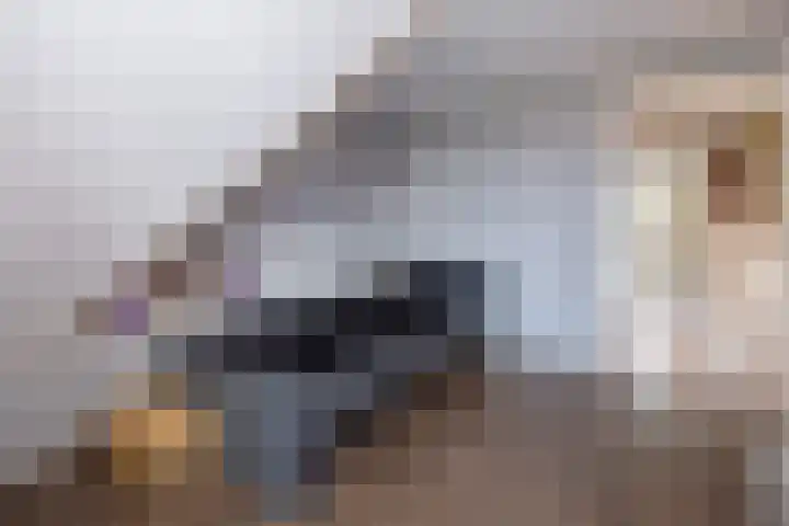 Molenmakerslaan 70 Voorthuizen thumbnail 31