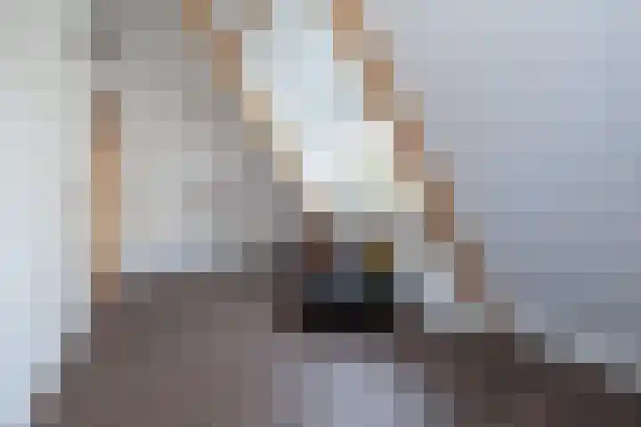 Molenmakerslaan 70 Voorthuizen thumbnail 33