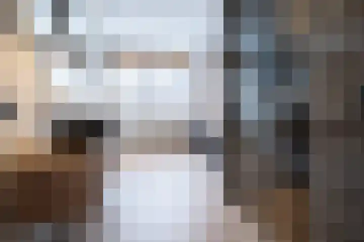 Molenmakerslaan 70 Voorthuizen thumbnail 36