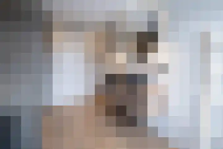 Molenmakerslaan 70 Voorthuizen thumbnail 40