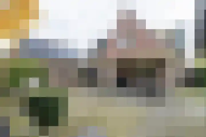 Molenmakerslaan 70 Voorthuizen thumbnail 44