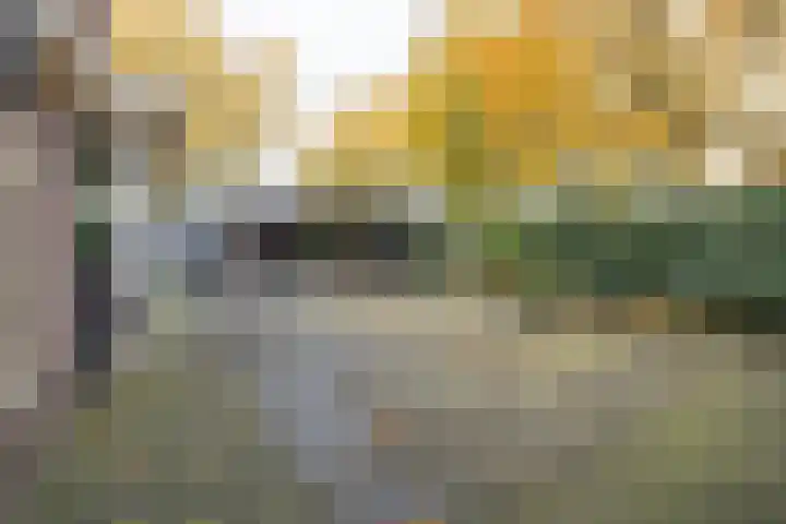 Molenmakerslaan 70 Voorthuizen thumbnail 45