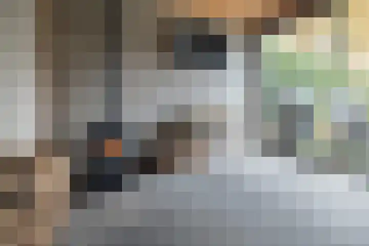 Molenmakerslaan 70 Voorthuizen thumbnail 47