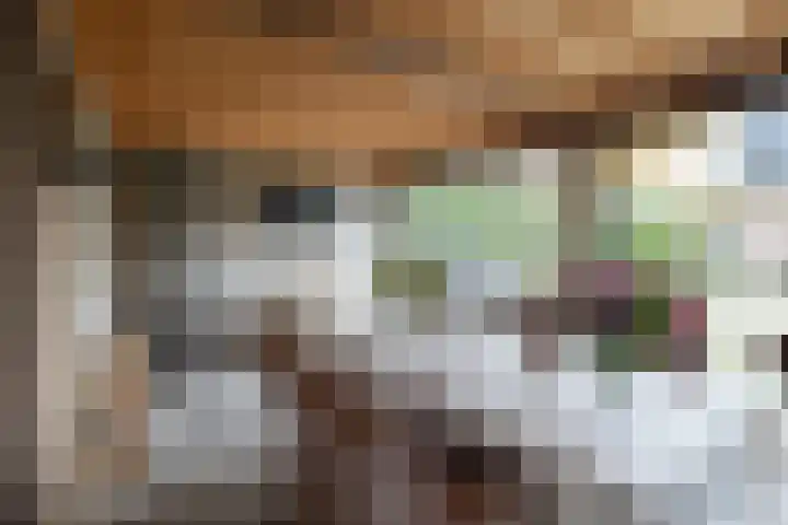 Molenmakerslaan 70 Voorthuizen thumbnail 48