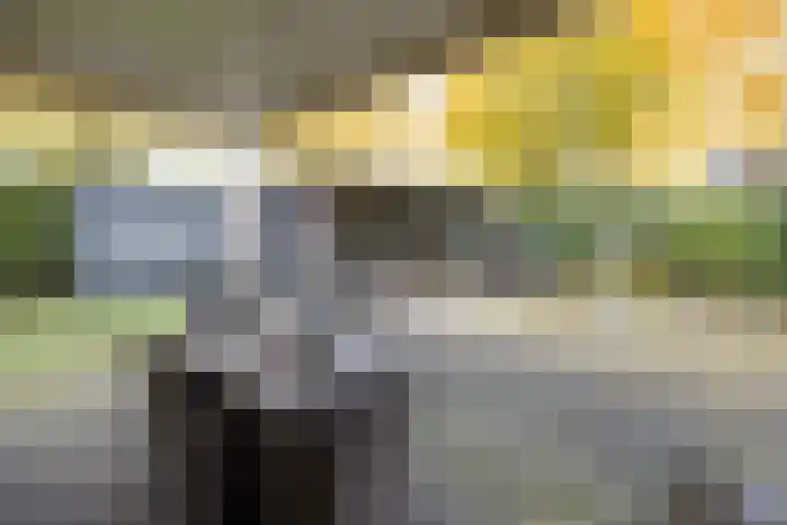 Molenmakerslaan 70 Voorthuizen thumbnail 49