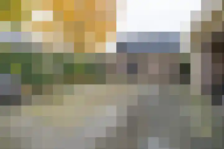 Molenmakerslaan 70 Voorthuizen thumbnail 51