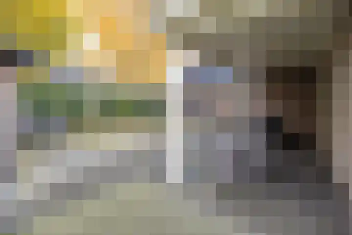 Molenmakerslaan 70 Voorthuizen thumbnail 53