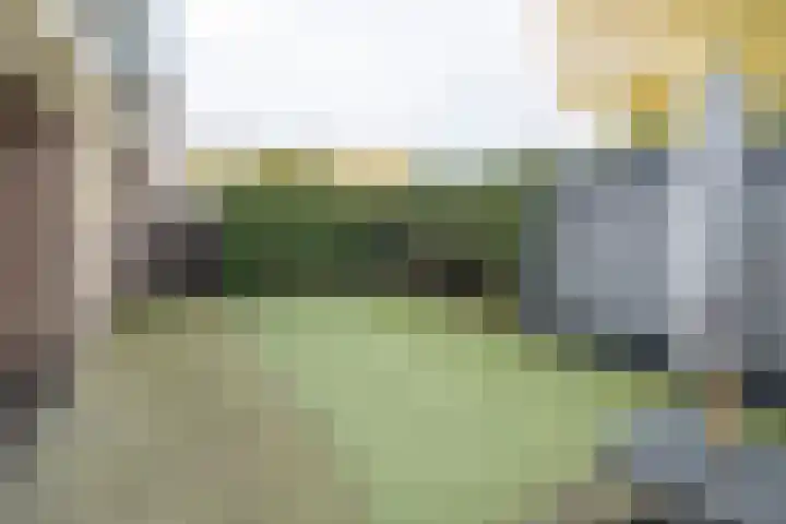 Molenmakerslaan 70 Voorthuizen thumbnail 55