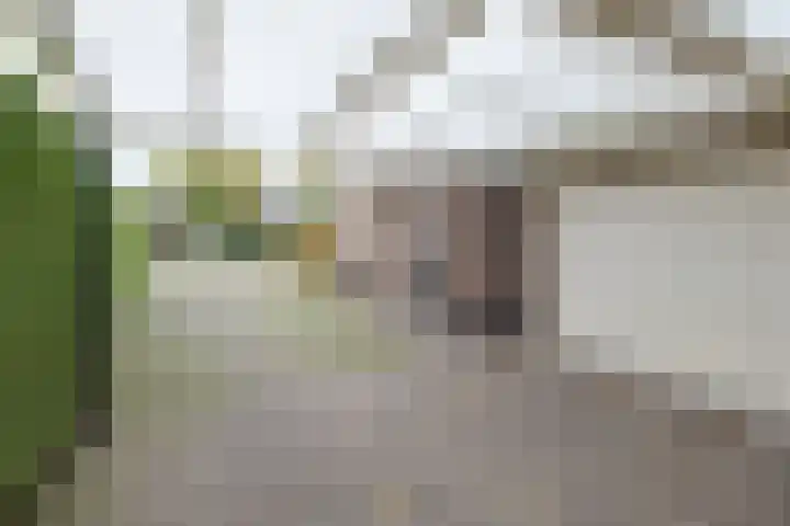 Molenmakerslaan 70 Voorthuizen thumbnail 58