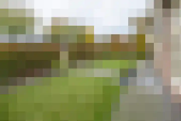 Molenmakerslaan 70 Voorthuizen thumbnail 60