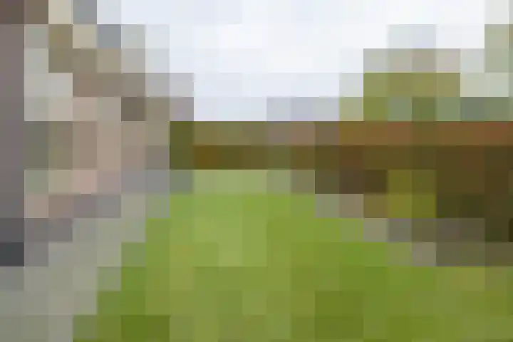 Molenmakerslaan 70 Voorthuizen thumbnail 61