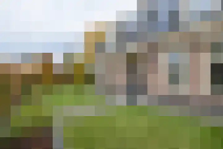 Molenmakerslaan 70 Voorthuizen thumbnail 62