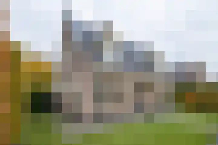 Molenmakerslaan 70 Voorthuizen thumbnail 63