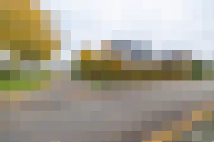 Molenmakerslaan 70 Voorthuizen thumbnail 66