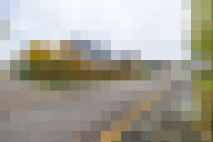 Molenmakerslaan 70 Voorthuizen thumbnail 68