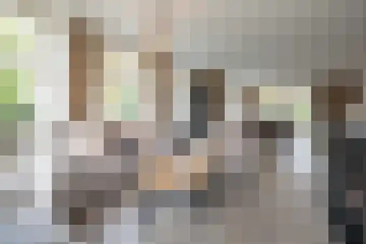Molenmakerslaan 70 Voorthuizen thumbnail 7