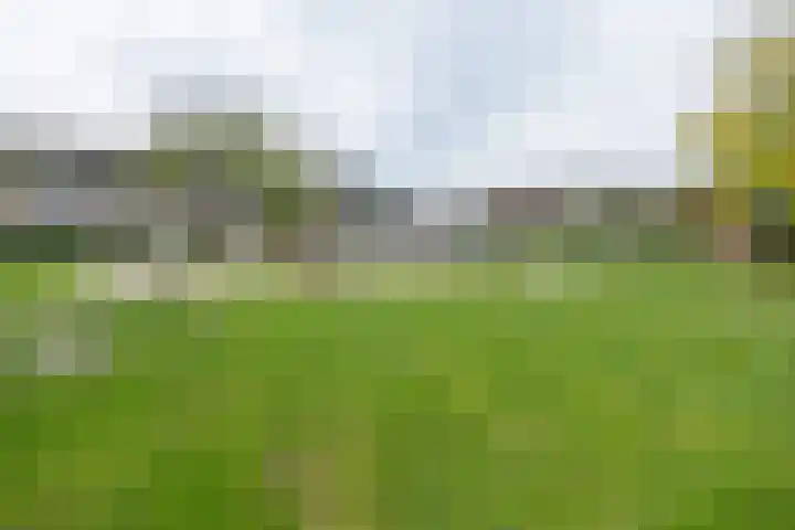 Molenmakerslaan 70 Voorthuizen thumbnail 70