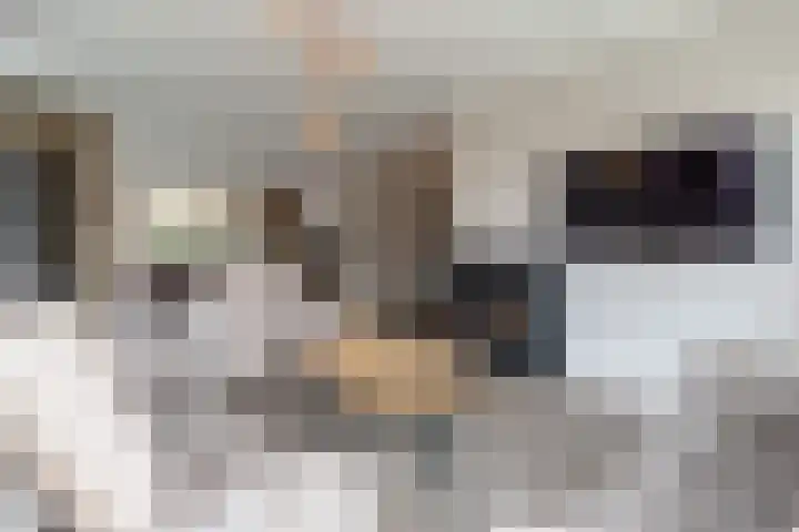 Molenmakerslaan 70 Voorthuizen thumbnail 8
