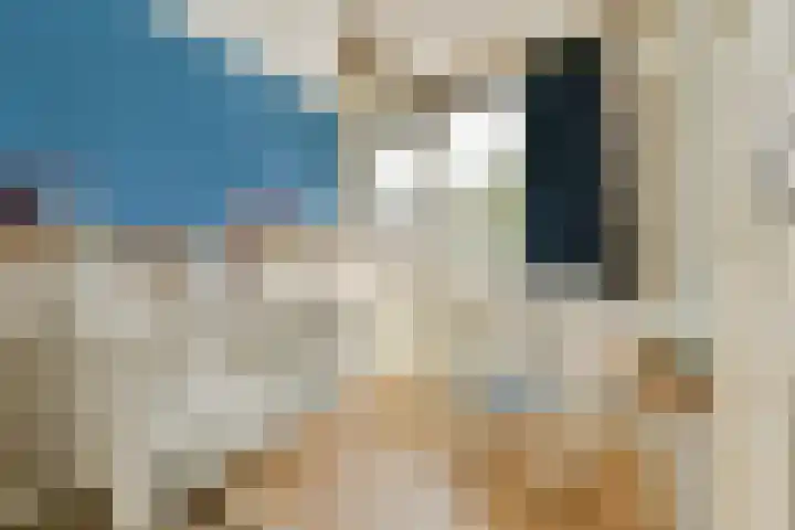 Molenmeesterslag 61 Gouda thumbnail 18
