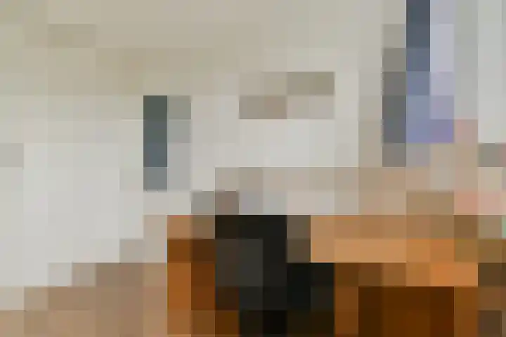Molenmeesterslag 61 Gouda thumbnail 27