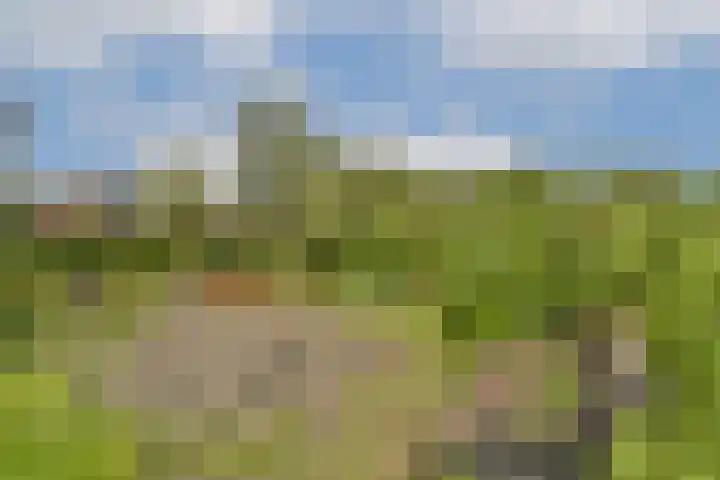 Molenmeesterslag 61 Gouda thumbnail 33