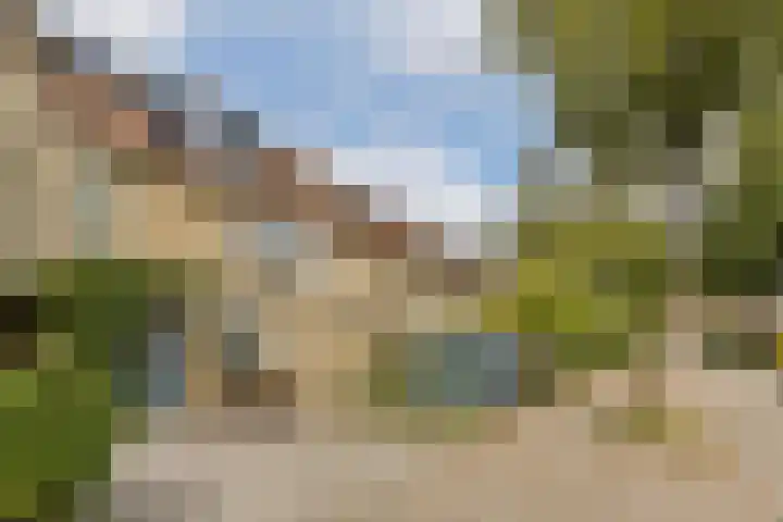 Molenmeesterslag 61 Gouda thumbnail 5